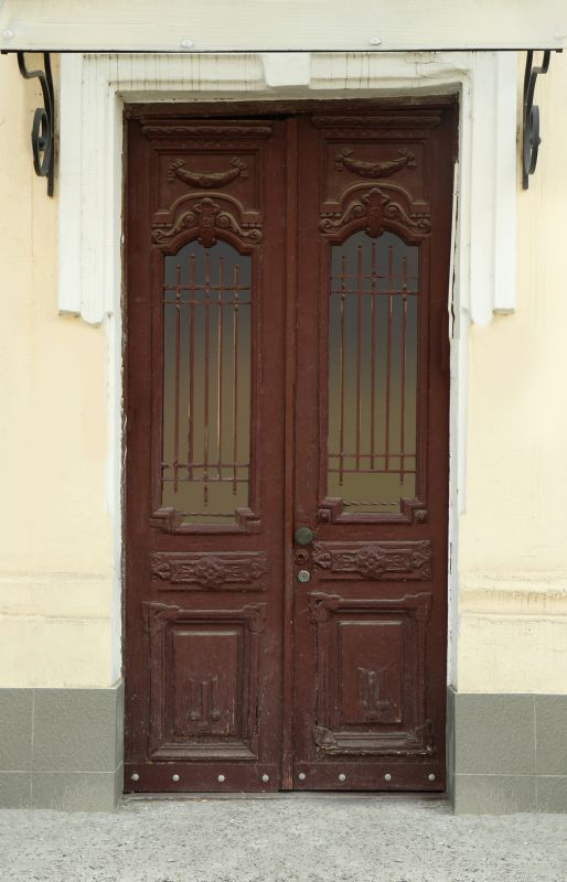 Panel Door